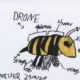 Bee diagram